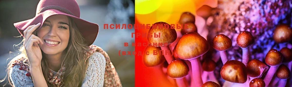 мяу мяу кристалл Осташков