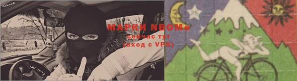 круглые Осинники