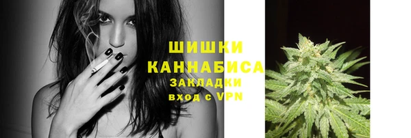 круглые Осинники